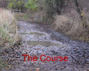 The Course