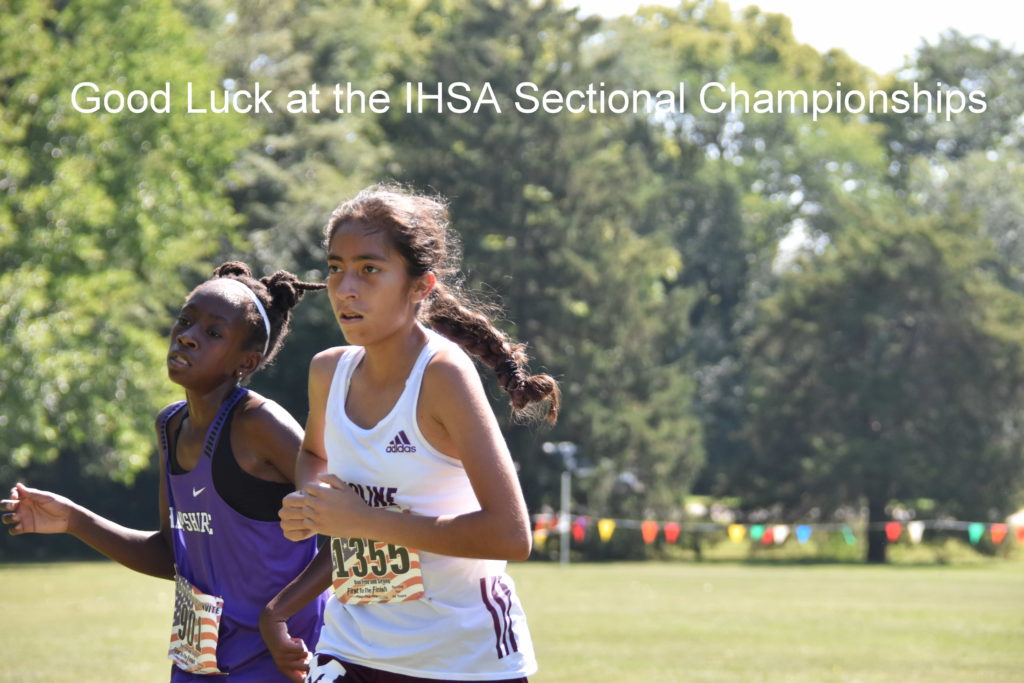 IHSA Sectional Championships