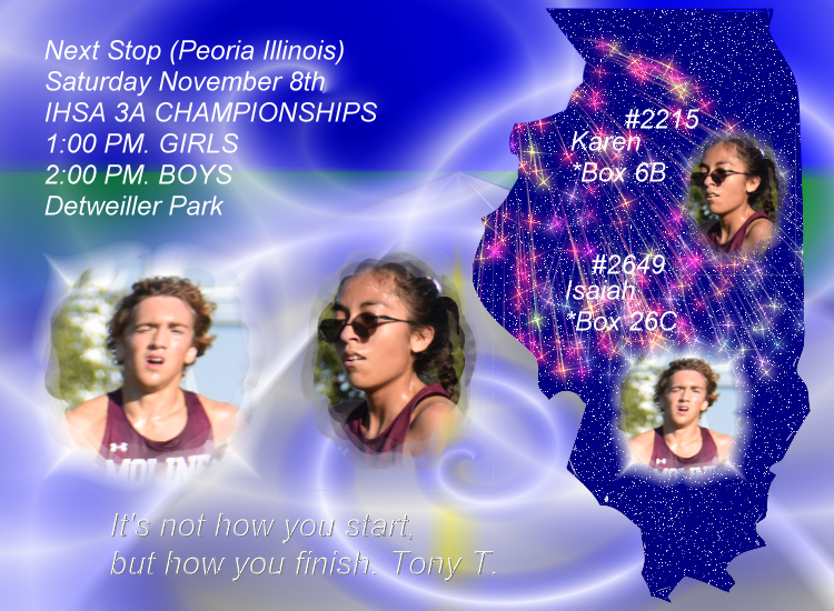 IHSA 3A State Championships November 8th